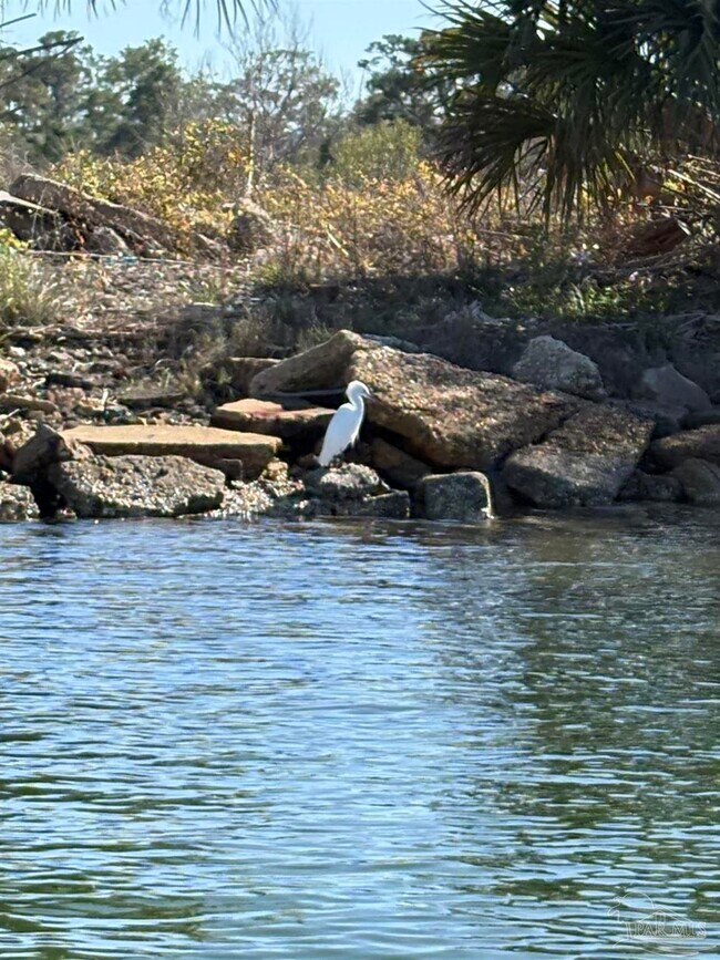 Building Photo - 326 W Sunset Ave