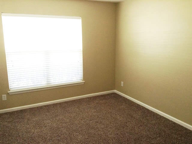 Building Photo - 11822 Nestar Pl