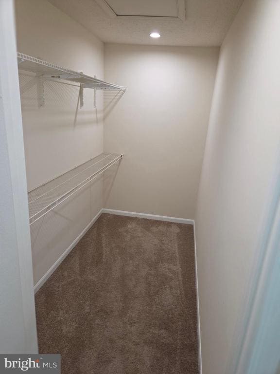 Building Photo - 4604 Deepwood Ct