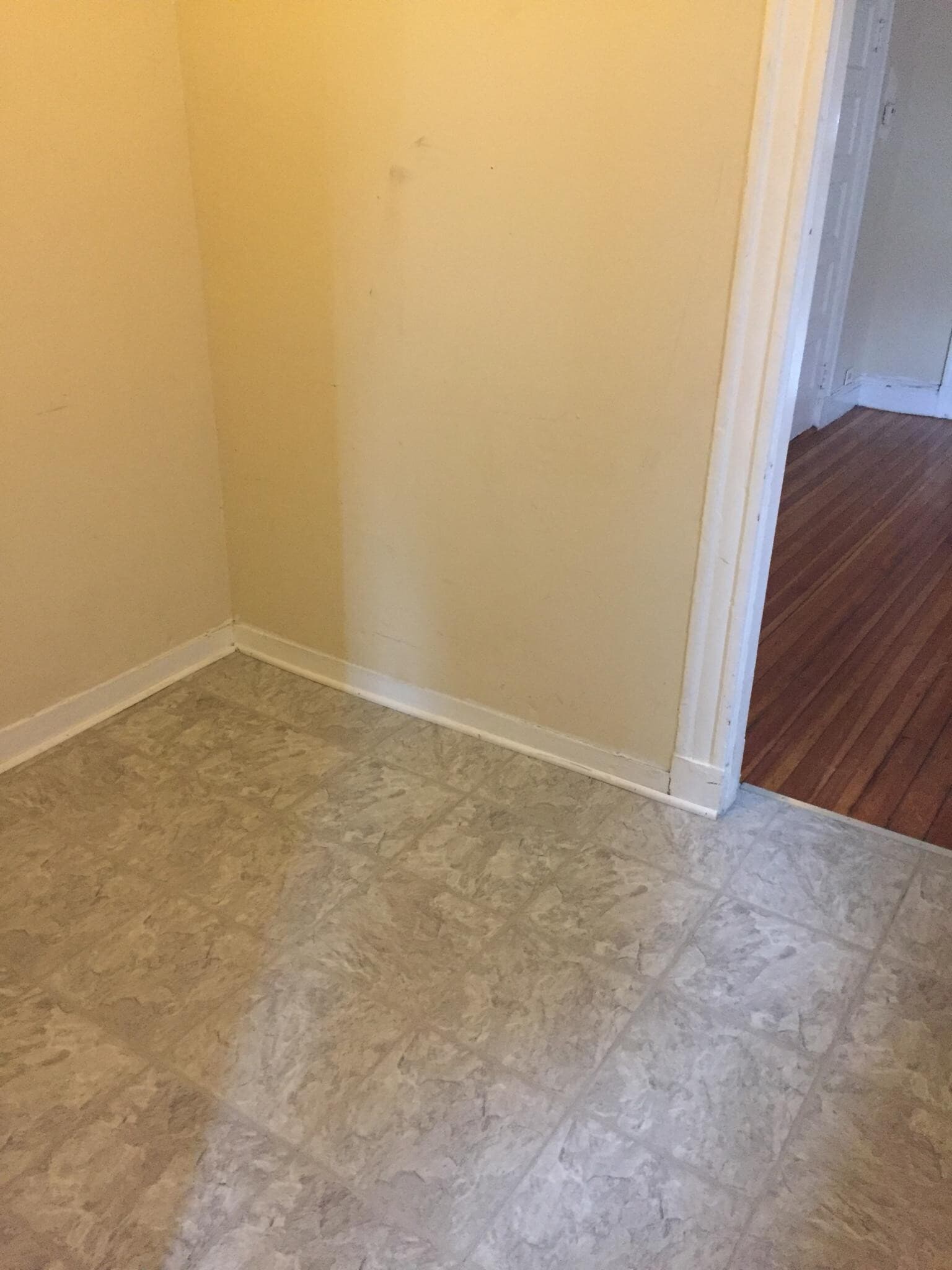 Building Photo - 36 Orkney Rd