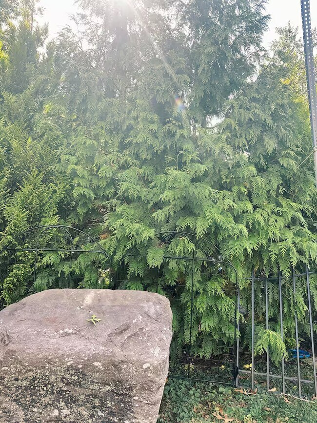 Building Photo - 14 Sterling Rd