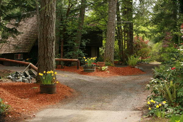 The entry driveway. - 8008 149th St NW
