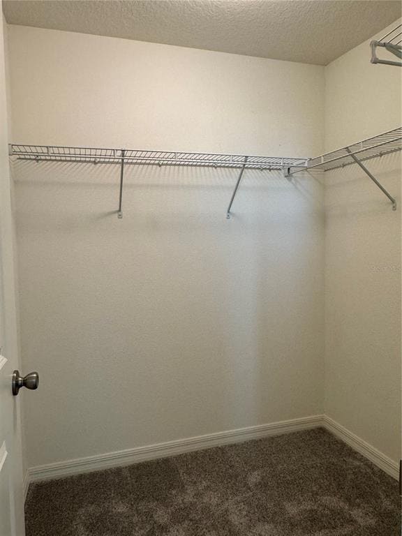 Building Photo - 2357 Carrabelle Wy