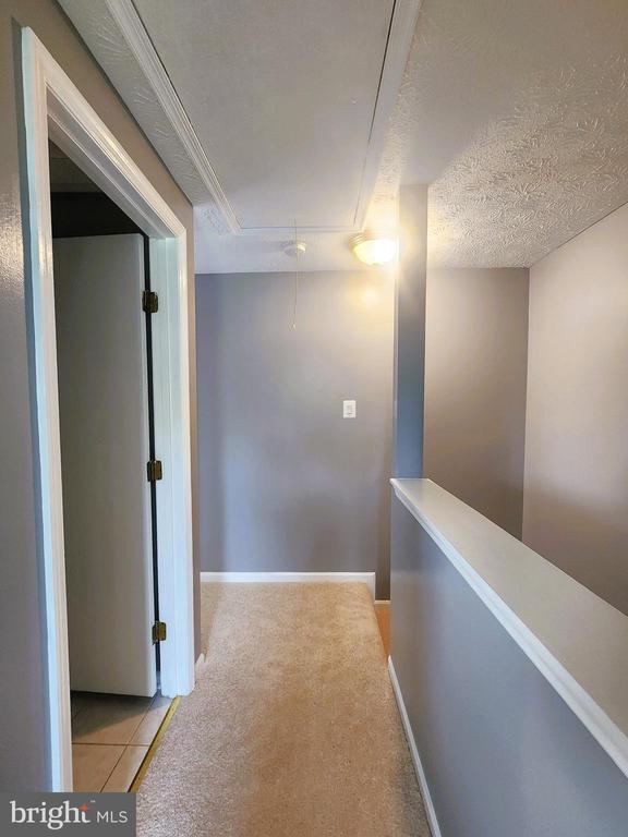 Building Photo - 14309 Bald Hill Ct