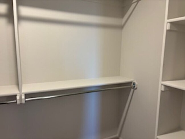 Building Photo - Beautiful New Home!