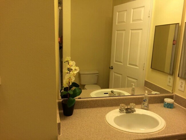 Building Photo - 2320 Gracy Farms Ln