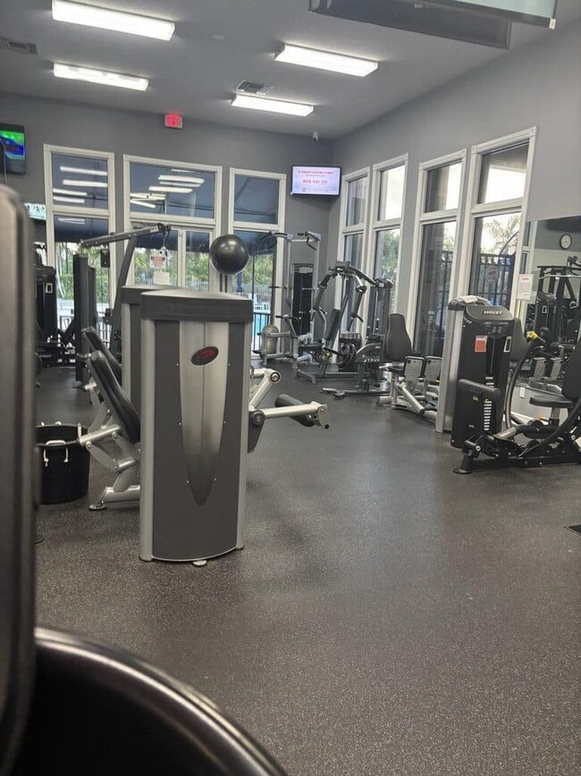 Building Photo - 12419 Antille Dr