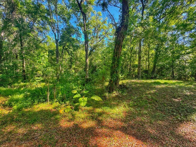 Building Photo - Country living close to everything! 3BR/2B...