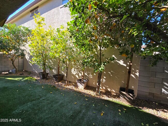 Building Photo - 256 N Scott Dr