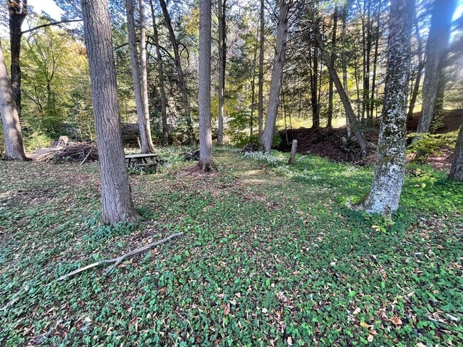 Building Photo - 4BR/1.5 Bath in Dalton – $2,800/mo Peacefu...