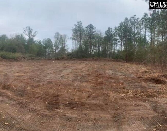 Building Photo - 1257B-1 Old Orangeburg Rd