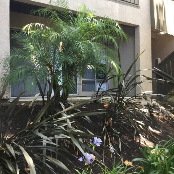 Building Photo - 151 W Glaucus St