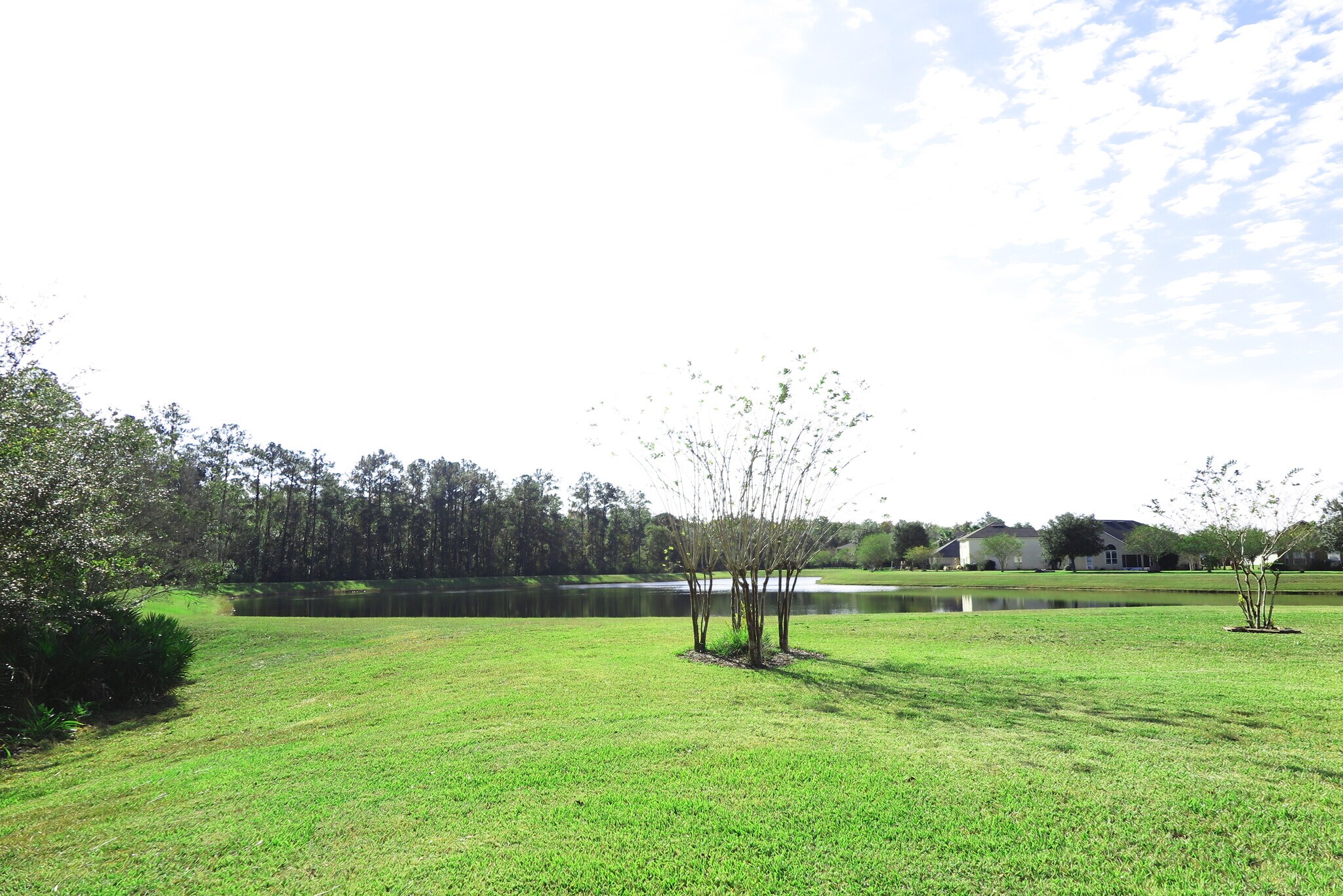 Pond view - 437 Lake Monroe Pl