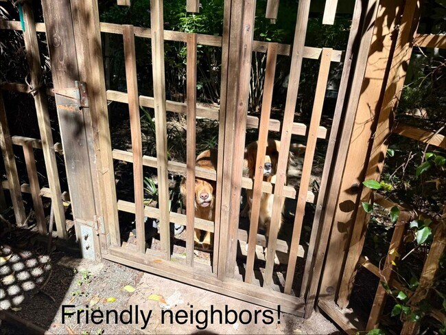 Building Photo - PEACEFUL MADRONE CANYON ONE BEDROOM COTTAGE NEAR DOWNTOWN LARKSPUR