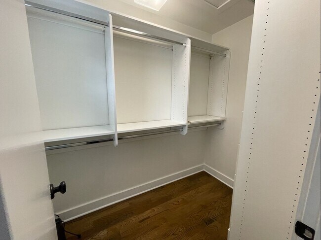 Building Photo - Davis Islands Spanish Med 3 Bed 2.5 Bath 1 car garage with Spool