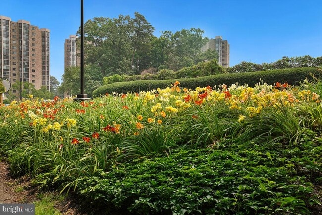 Building Photo - 5904 Mt Eagle Dr