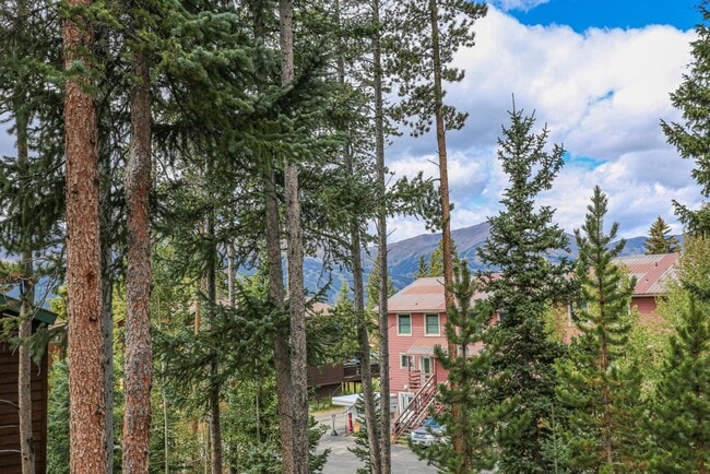 Building Photo - 6 month lease! Updated Baldy Breckenridge Townhome! Dogs negotiable!