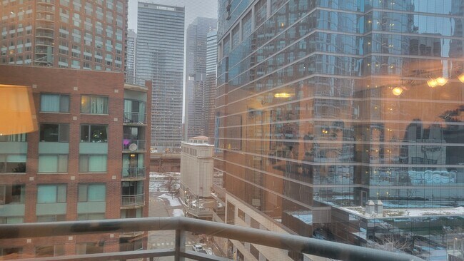 Building Photo - 480 N McClurg Ct