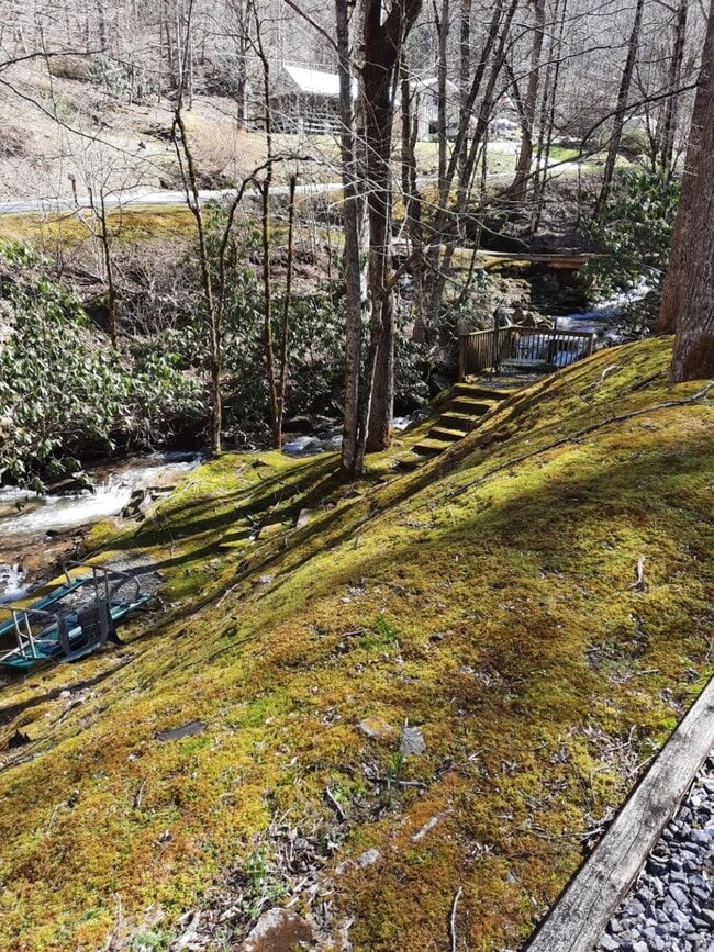 Building Photo - $1,600 - 4 Bedroom 2 Bathroom Furnished Log Cabin on the Creek