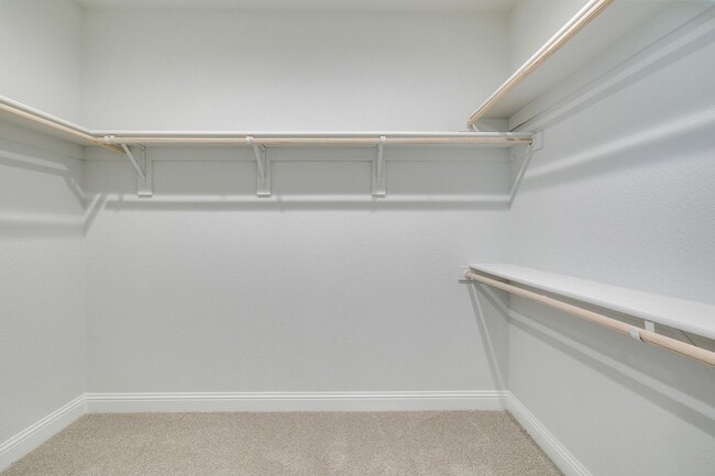 Building Photo - 1216 Blanco Trl