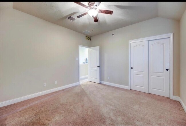 Building Photo - 3202 Palacious Falls Lane