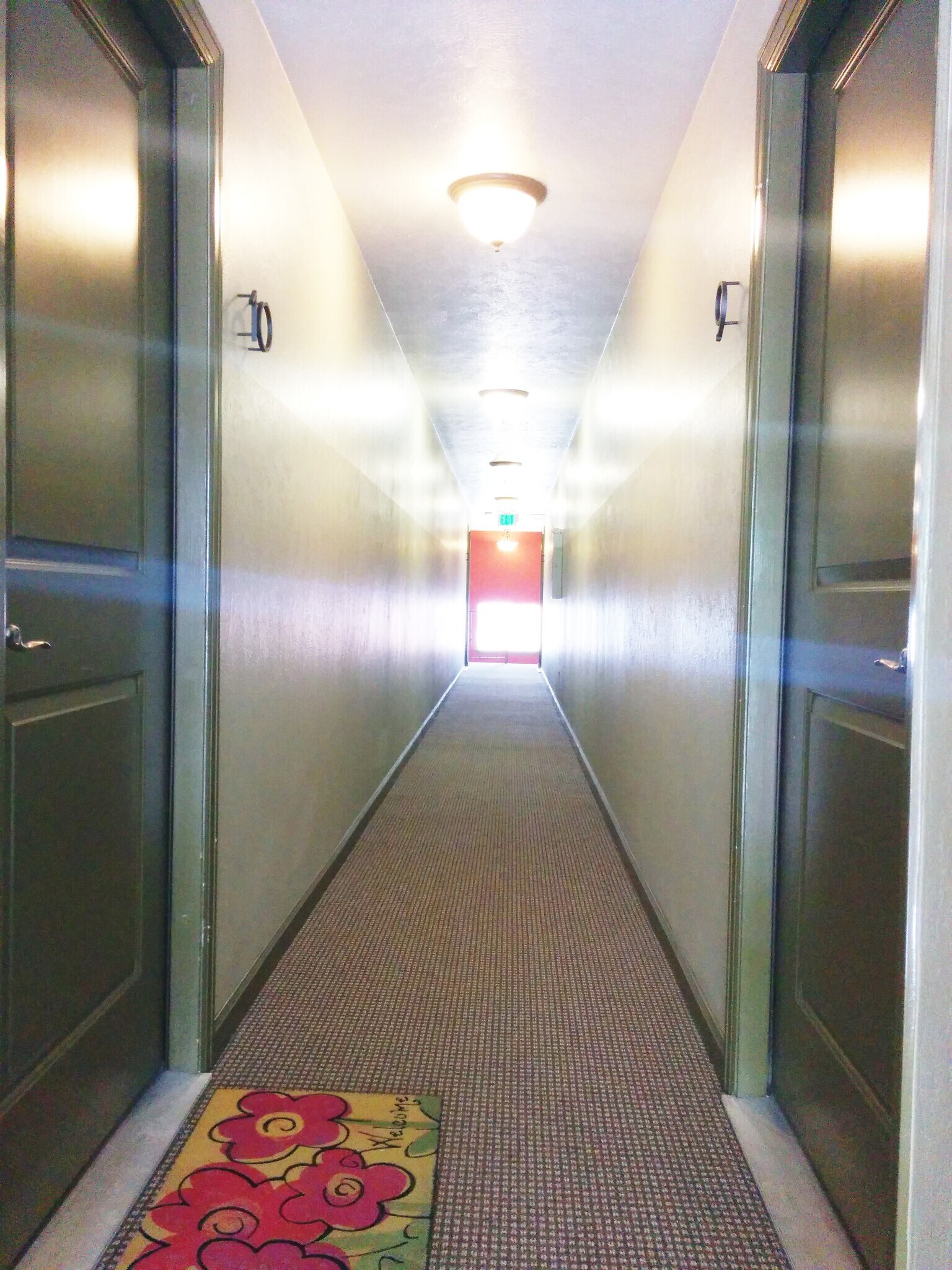 Building Photo - 1330 Elizabeth St