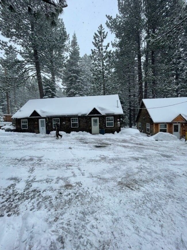 Primary Photo - Very Cute Cozy Cabin Style 1BD 1BA Duplex!...