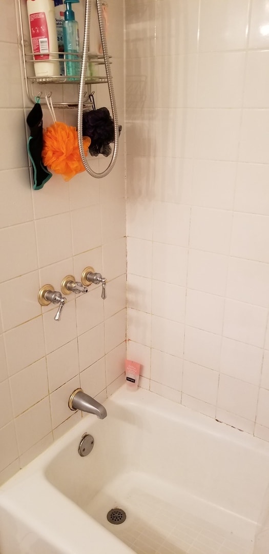 Building Photo - 1534 W George St