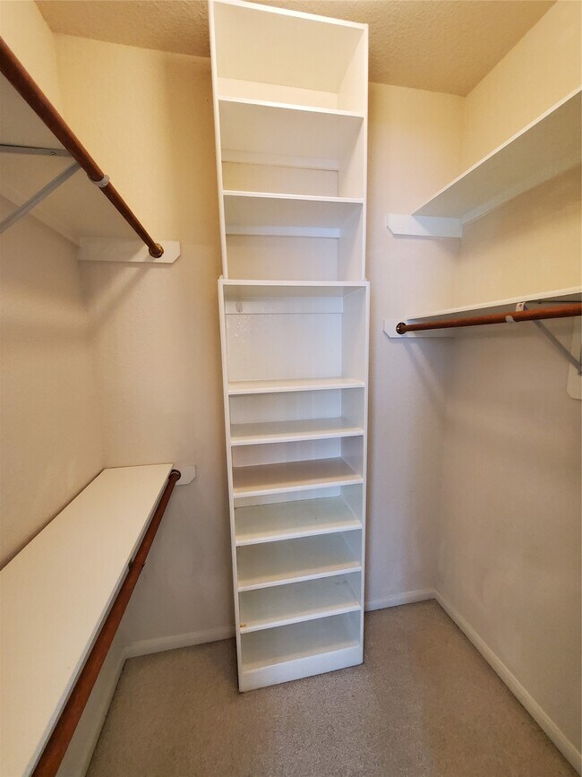 Building Photo - 2715 Falling Forest Ct