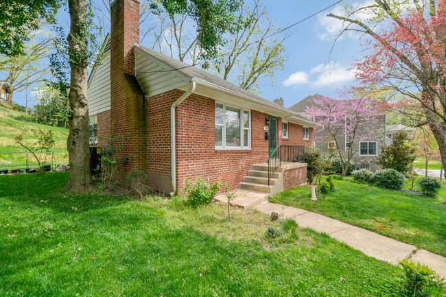 Building Photo - 3 BD 3 BA Mid-century Ranch in Arlington