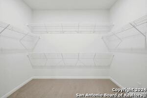 Building Photo - 12915 Irvin Path