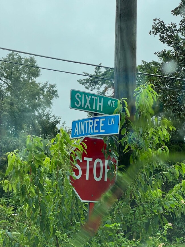 Building Photo - 1316 Aintree Ln