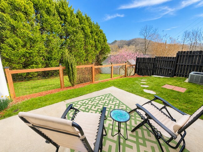 Building Photo - Black Mountain Townhome