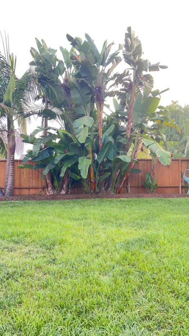 Building Photo - Beautiful Home Located in the very desirab...
