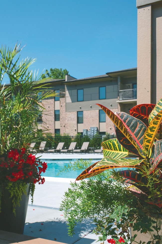 Primary Photo - Lakewood Park Apartments