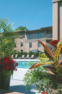 Building Photo - Lakewood Park Apartments