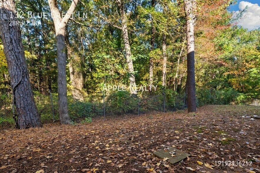 Building Photo - 132 Blue Crest Ln