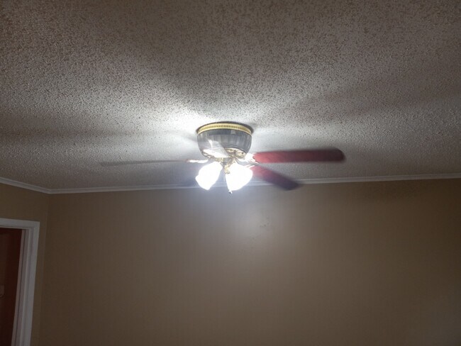 Building Photo - 1733 Carlyle Ave