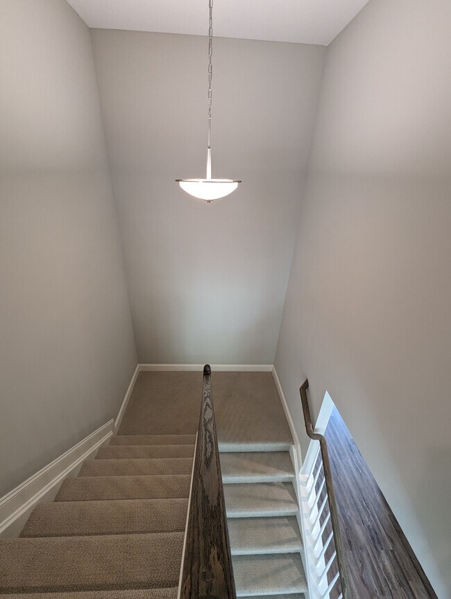 Building Photo - 8712 Yellow Aster Rd