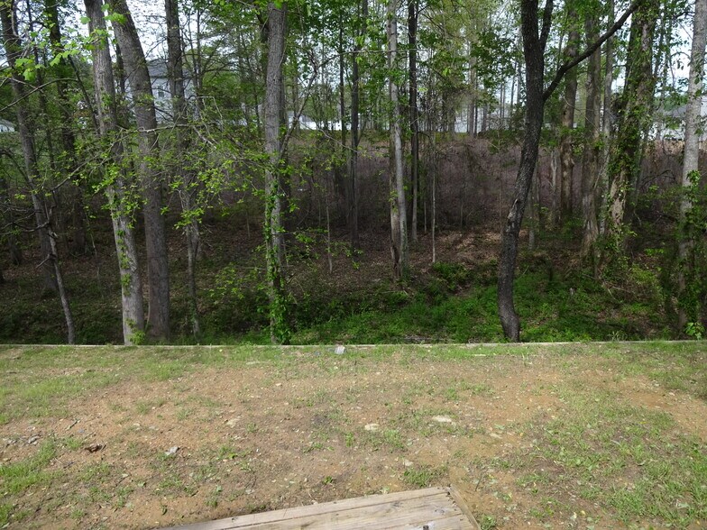 Building Photo - 361 Ash Trace Ln