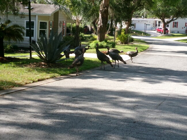 Building Photo - 4 Gentle Ben Path