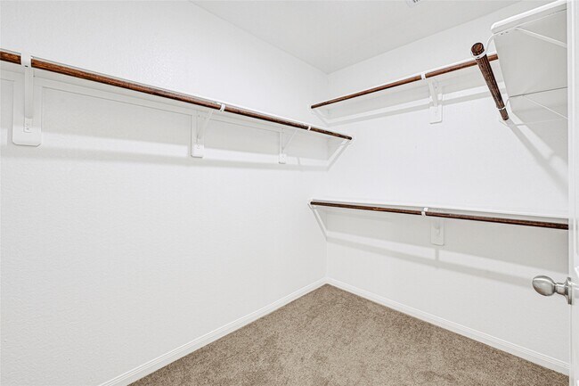 Building Photo - 5341 Basquiat Dr