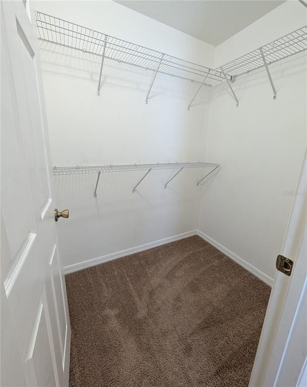 Building Photo - 2516 Oleander Lakes Dr