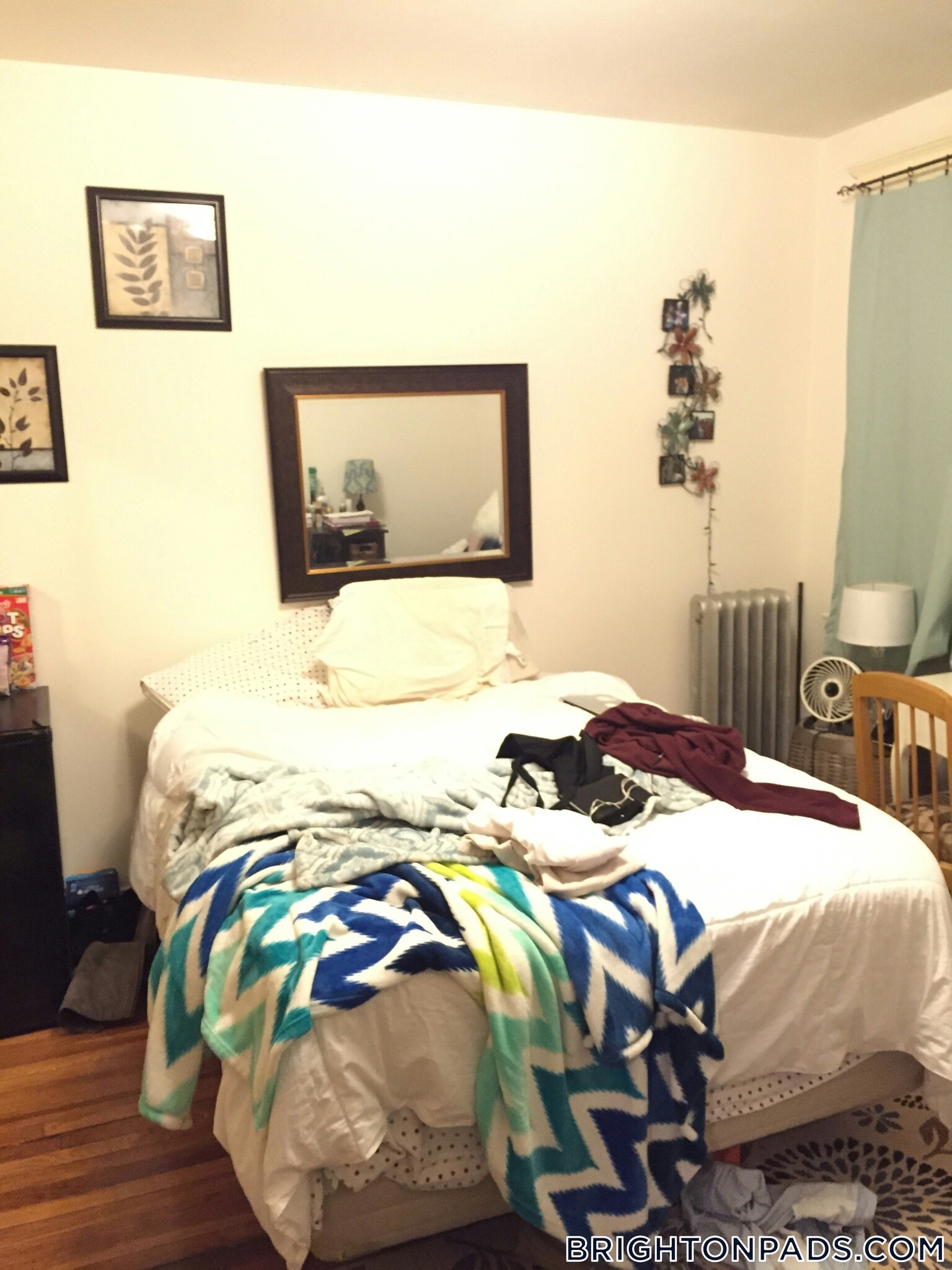 Building Photo - 23 Egremont Rd