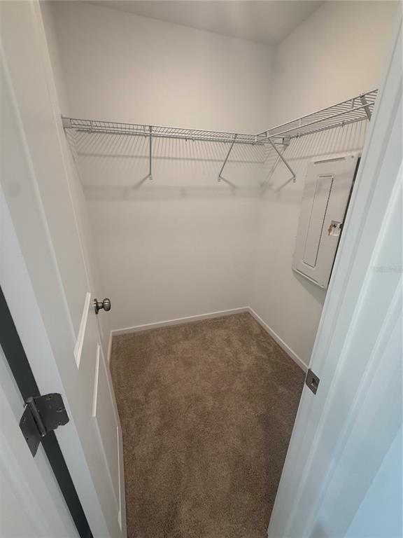 Building Photo - 1562 Plank Pl