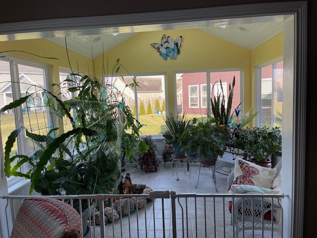 sun room - 4101 Trilithon Ct