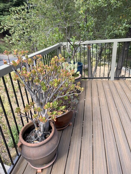Front common area deck - 186 Pelican Ln