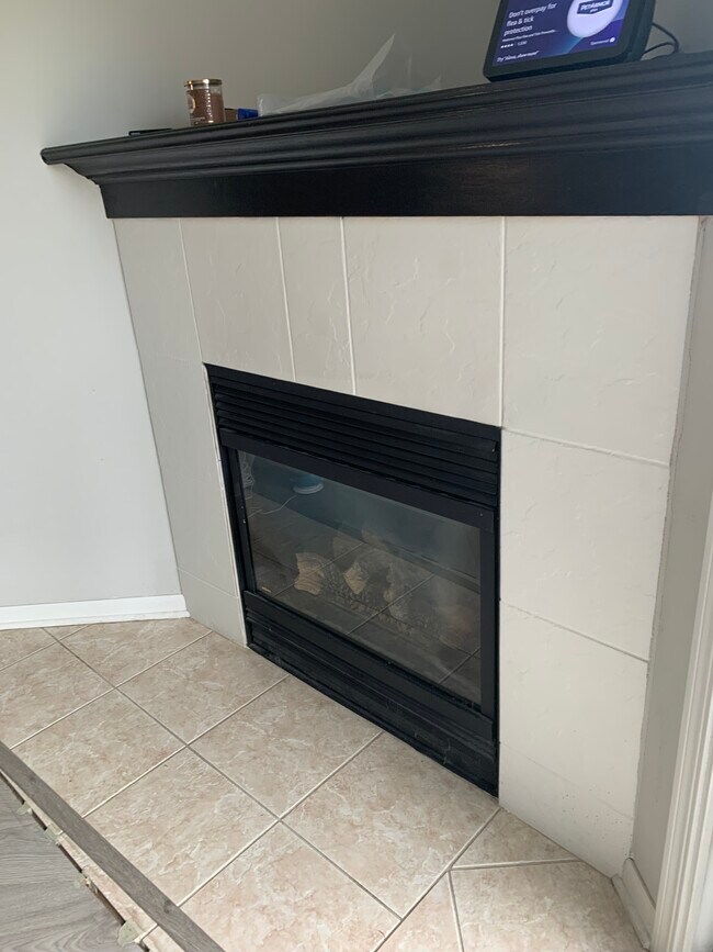 Gas Log Fireplace in FR - 343 Westmore Meyers Rd