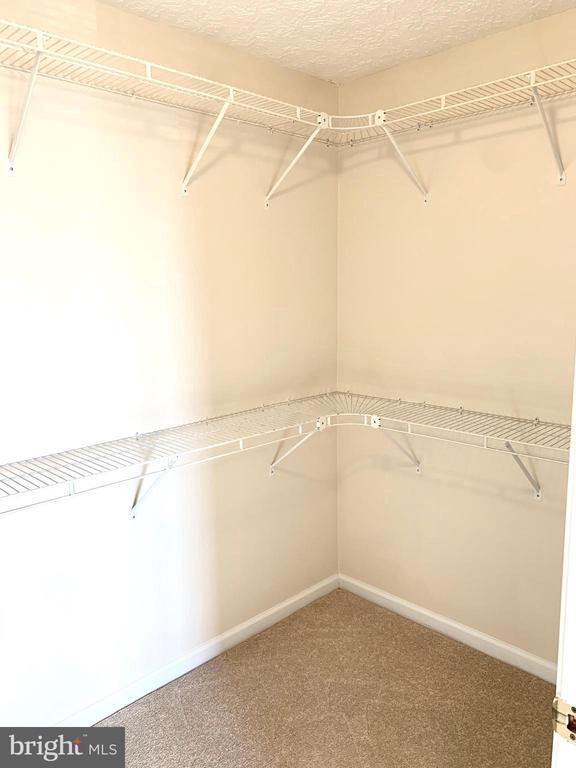 Building Photo - 2450 Apple Blossom Ln