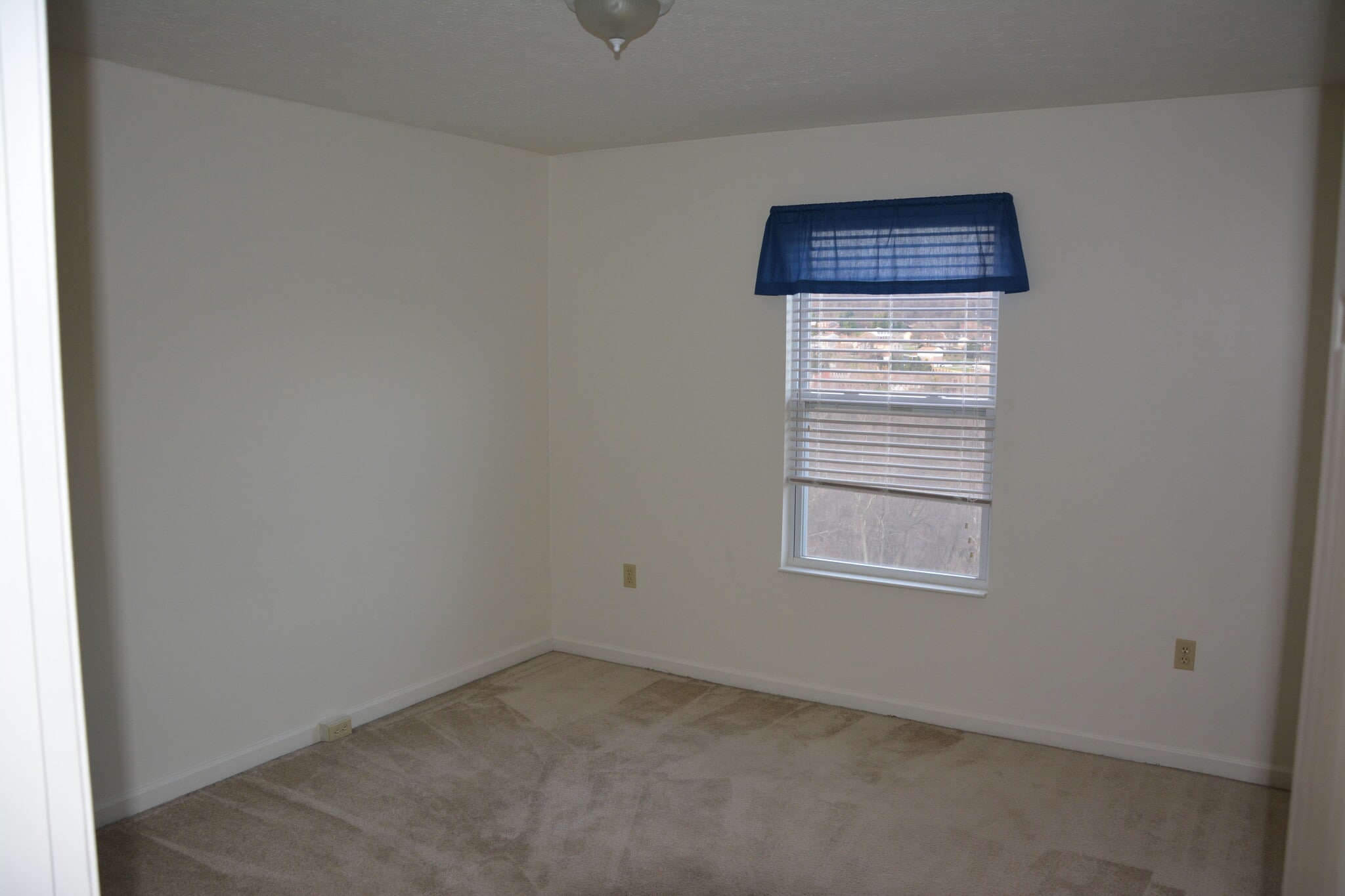 Building Photo - 137 mountain drive